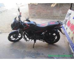 BAJAJ PULSAR 150 cc sale at kathmandu - Image 2/3