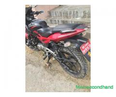 Super fresh pular 220 on sale.. 67 lot sale at kathmandu - Image 3/4