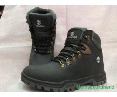 Brand new timberland shoes on sale at kathmandu - Image 1/3