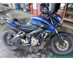 Pulsar 220 blue on sale at pokhara