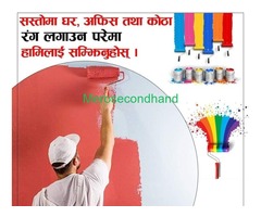 House Painting Service - Image 1/3