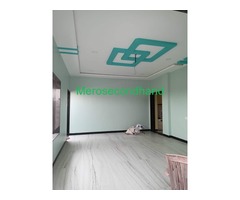 House Painting Service - Image 2/3