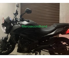 Brand New Dominar 250