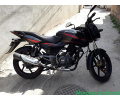 Pulsar 150 Red on sale at kathmandu - Image 2/4