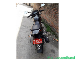 Pulsar 150 Red on sale at kathmandu - Image 4/4