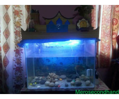 Aquarium on sale at kathmandu - Image 1/2