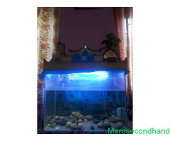 Aquarium on sale at kathmandu