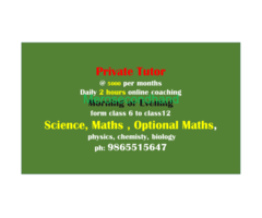Private Tutor by Bachelor Engineering Student