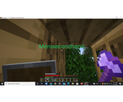 Minecraft account for Rs 2800(negotiable)