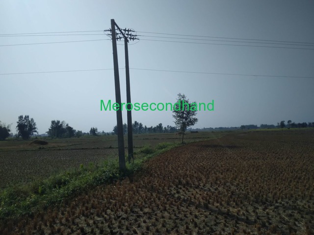 Prime Land for Sale – Near Road, Sapahi–7, Bara - 1/2