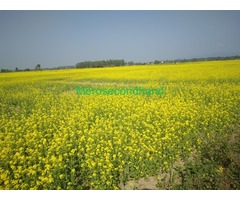 Prime Land for Sale – Near Road, Sapahi–7, Bara Prime Land for Sale – Near Road, Sapahi–7, Bara