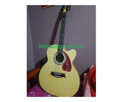 Höfner Acoustic Guitar