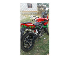 pulsar 150 on sale at bharatpur - Image 1/3