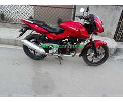 Pulsar bike on sale at kathmandu - Image 1/4