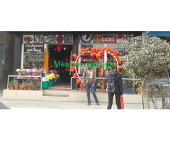 Aquarium / Cut Flowers/ Flower plants / Gift shop on sale at pokhara nepal