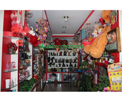 Aquarium / Cut Flowers/ Flower plants / Gift shop on sale at pokhara nepal