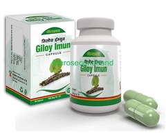 Giloy Imun Capsules on sale at kathmandu nepal