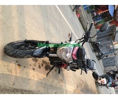 UM 223 cc xtreet on sale at kathmandu nepal - Image 8/8