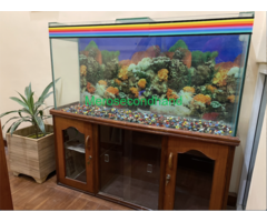 Aquarium with wooden showcase stand