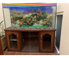 Aquarium with wooden showcase stand