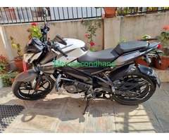 Sale: 2021 Bajaj Ns 200 Fi And Abs (21 Lot)